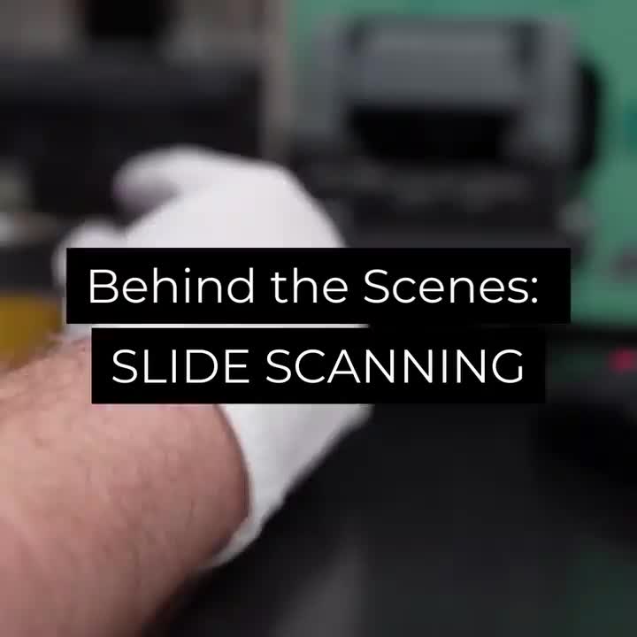 Video post from cardinalcamera1937.