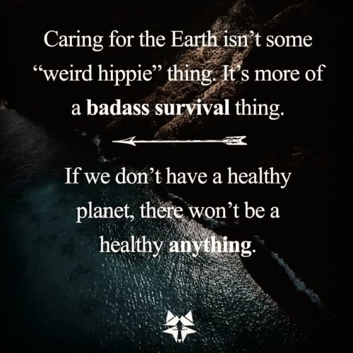 Photo post from wildwitchesmagic.