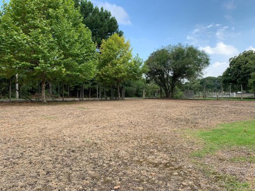 Carousel post from imobiliariammocelin.