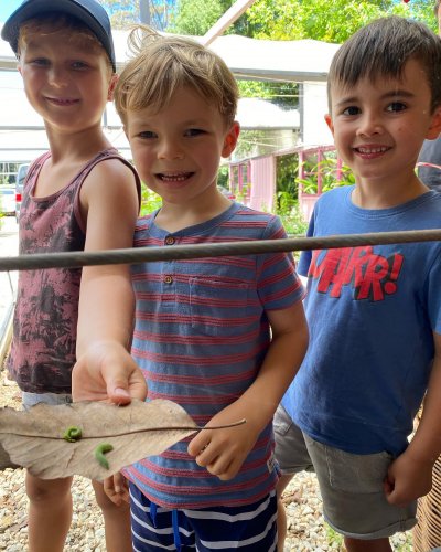 Photo post from currumbinvalleyharvest.