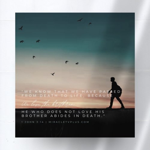 Photo post from drsivamm.