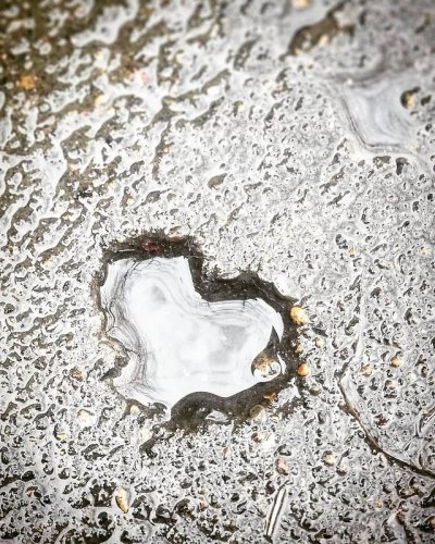 Photo post from thepdxtoday.