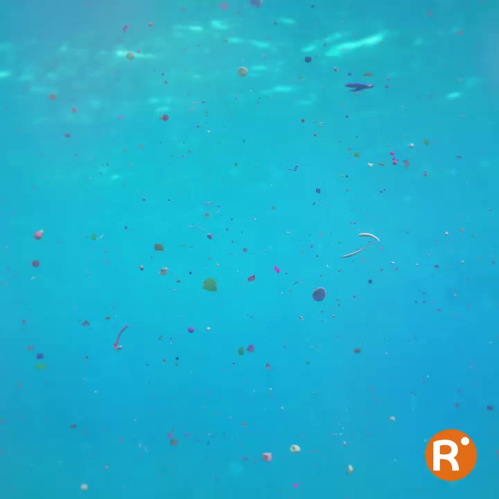 Video post from ricardo_ch.fr.