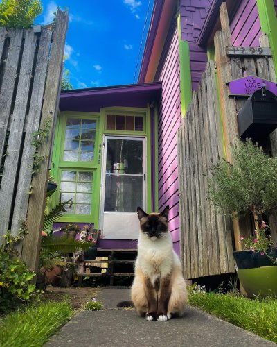 Carousel post from flavormoth.