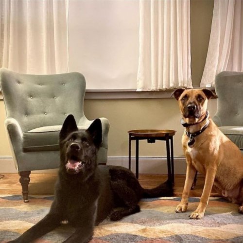 Photo post from hotelonnorth.