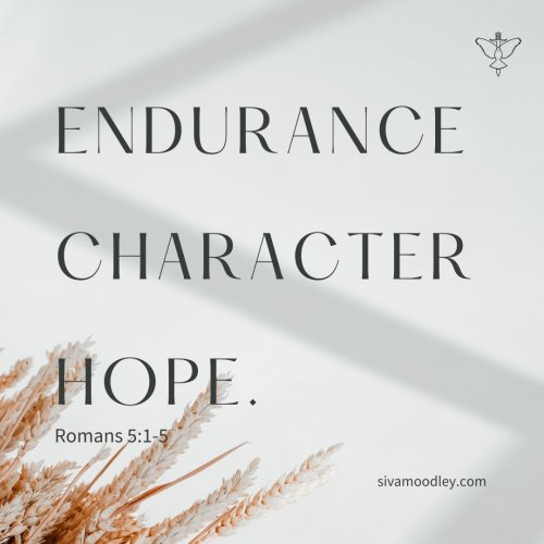 Photo post from drsivamm.