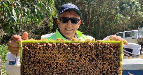 Photo post from comvita_au.