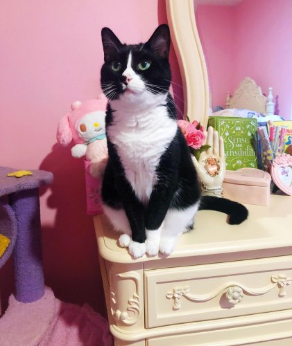 Photo post from margaritabloom.