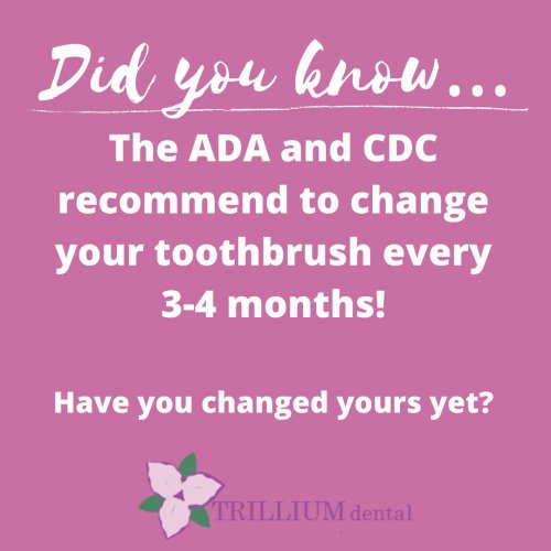 Photo post from trilliumdental.