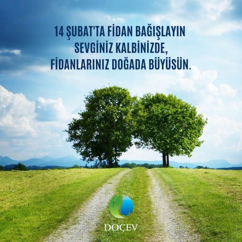 Photo post from dogavecevrevakfi.