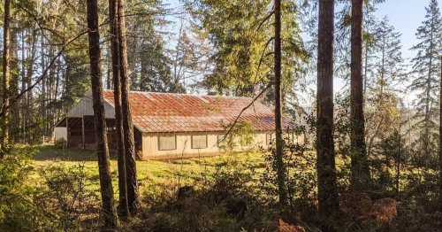 Photo post from hungryhollowfarm.