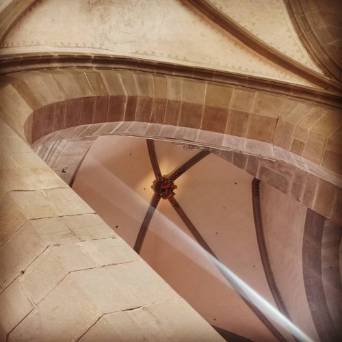 Photo post from fraumuenster.