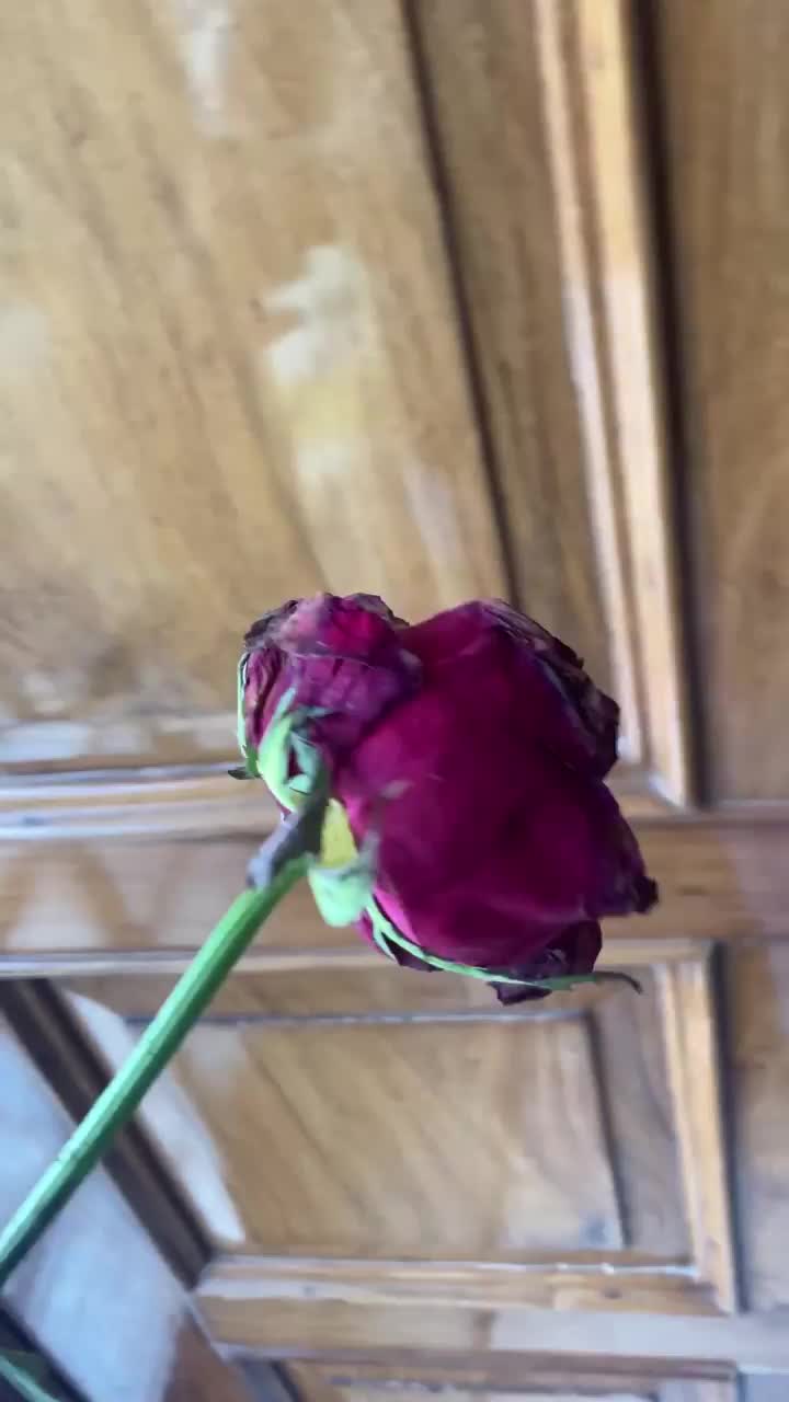 Video post from allure_.art.