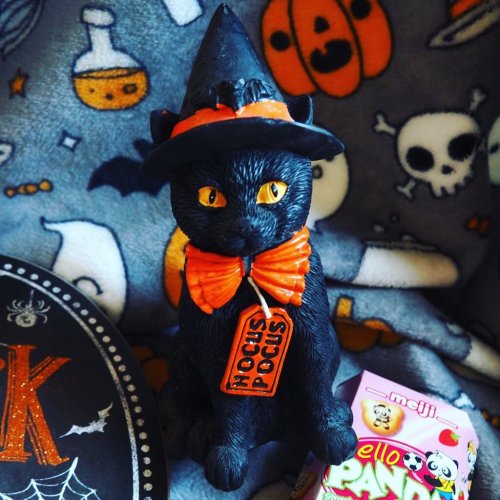 Photo post from margaritabloom.