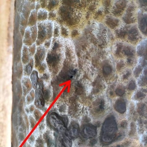 Carousel post from triexpertsolutions.