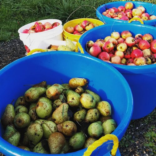 Photo post from hungryhollowfarm.