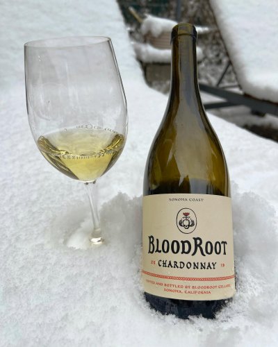 Photo post from dandywineshop.