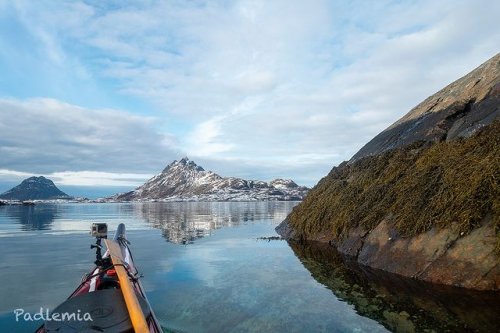 Photo post from padlemia1.
