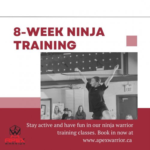 Photo post from apexwarriorfitness.