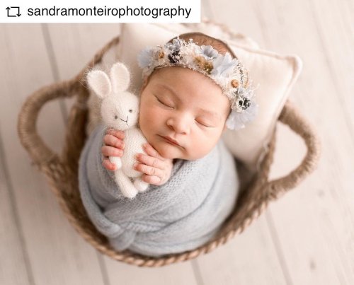 Photo post from babybonnet_backdrops.