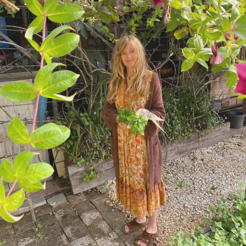 Photo post from currumbinvalleyharvest.