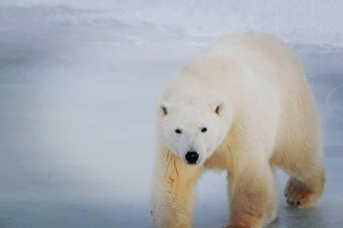 Photo post from taucktravel.