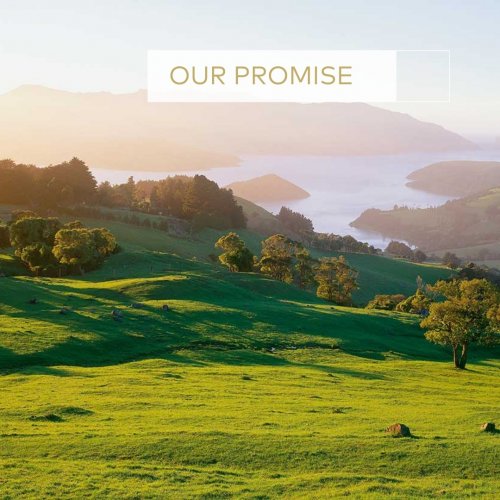 Photo post from comvita_nz.