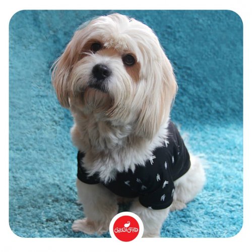 Photo post from farshonline_com.