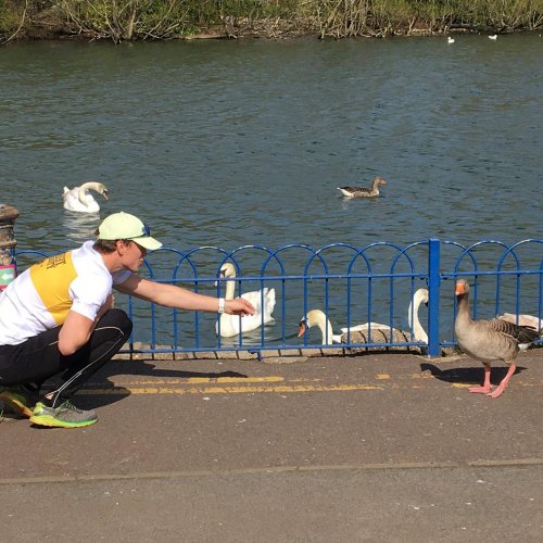 Carousel post from queensboatclub.