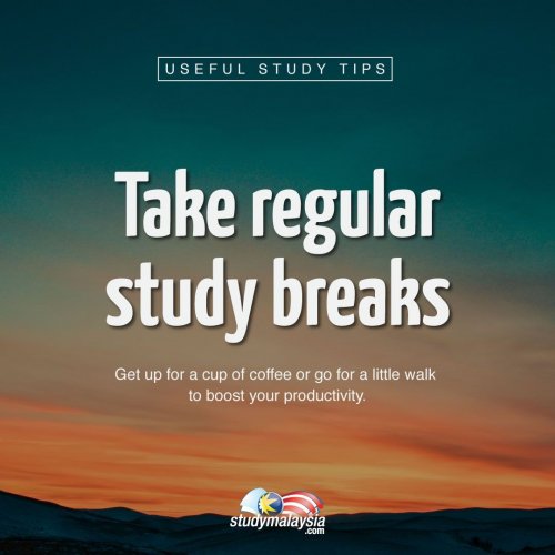 Photo post from studymsia.