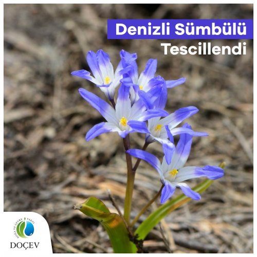 Photo post from dogavecevrevakfi.