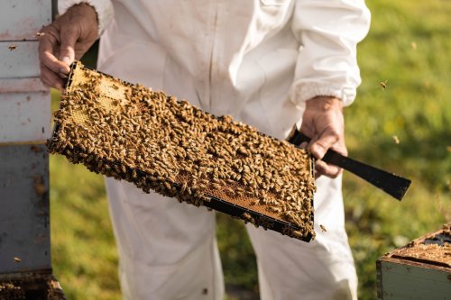 Carousel post from comvita_au.