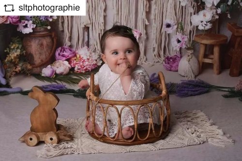 Photo post from babybonnet_backdrops.