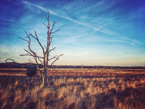 Photo post from visitoirschot.