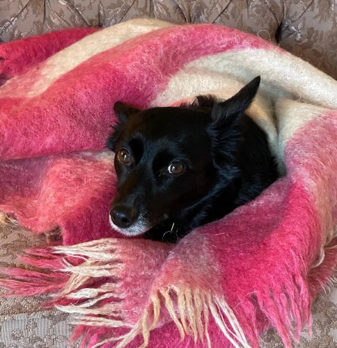 Photo post from freyaetthor.