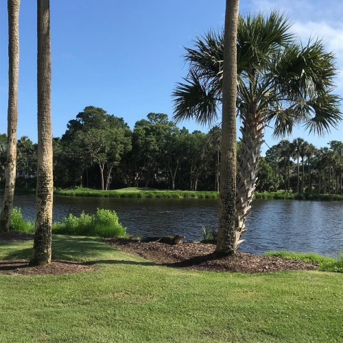 Photo post from vastdesign.