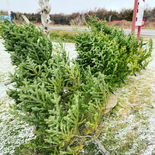 Photo post from freyaetthor.