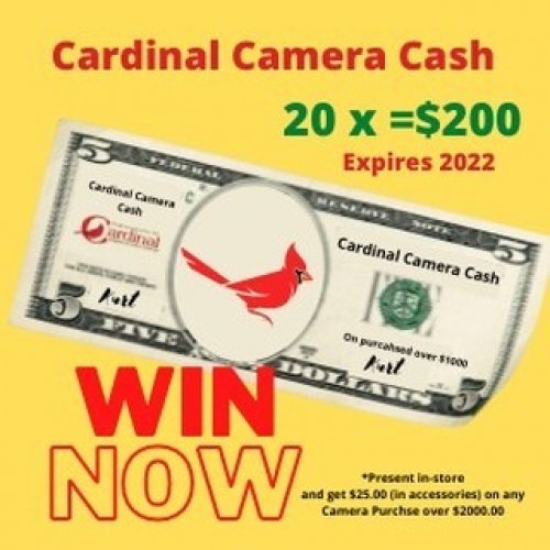 Photo post from cardinalcamera1937.