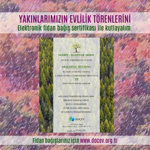 Photo post from dogavecevrevakfi.