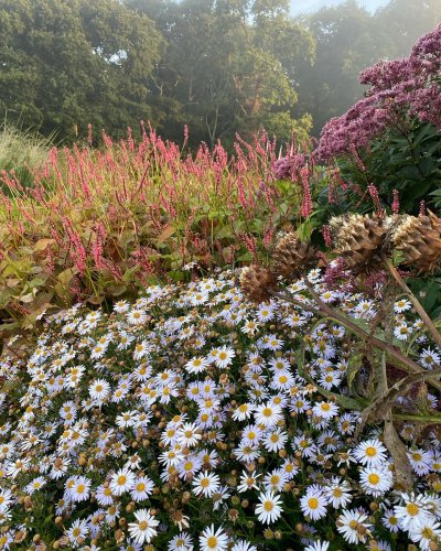 Photo post from sussexprairies.