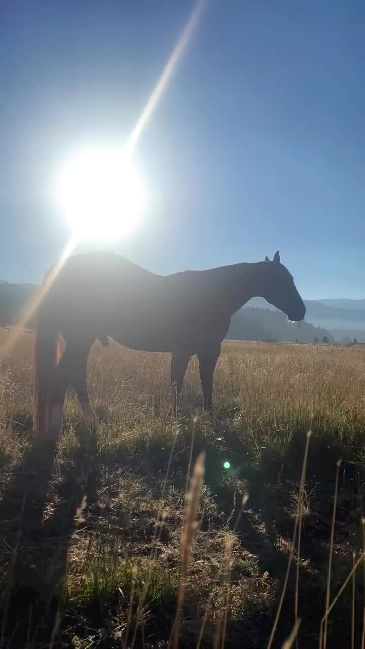 Video post from __amber_lydic__.