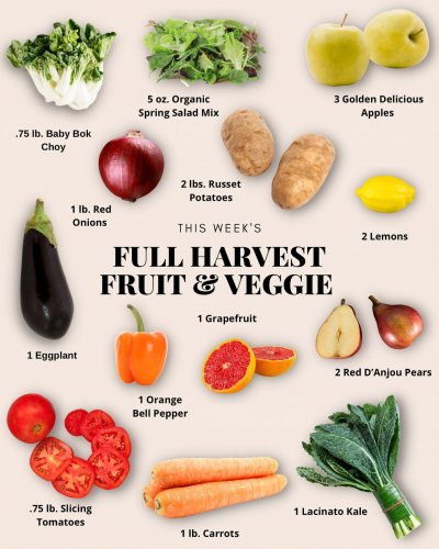 Photo post from farmbox_arizona.