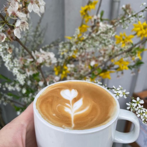 Photo post from equianocoffee.