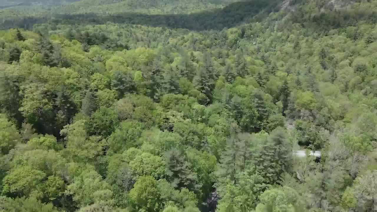 Video post from bhhsmmr.