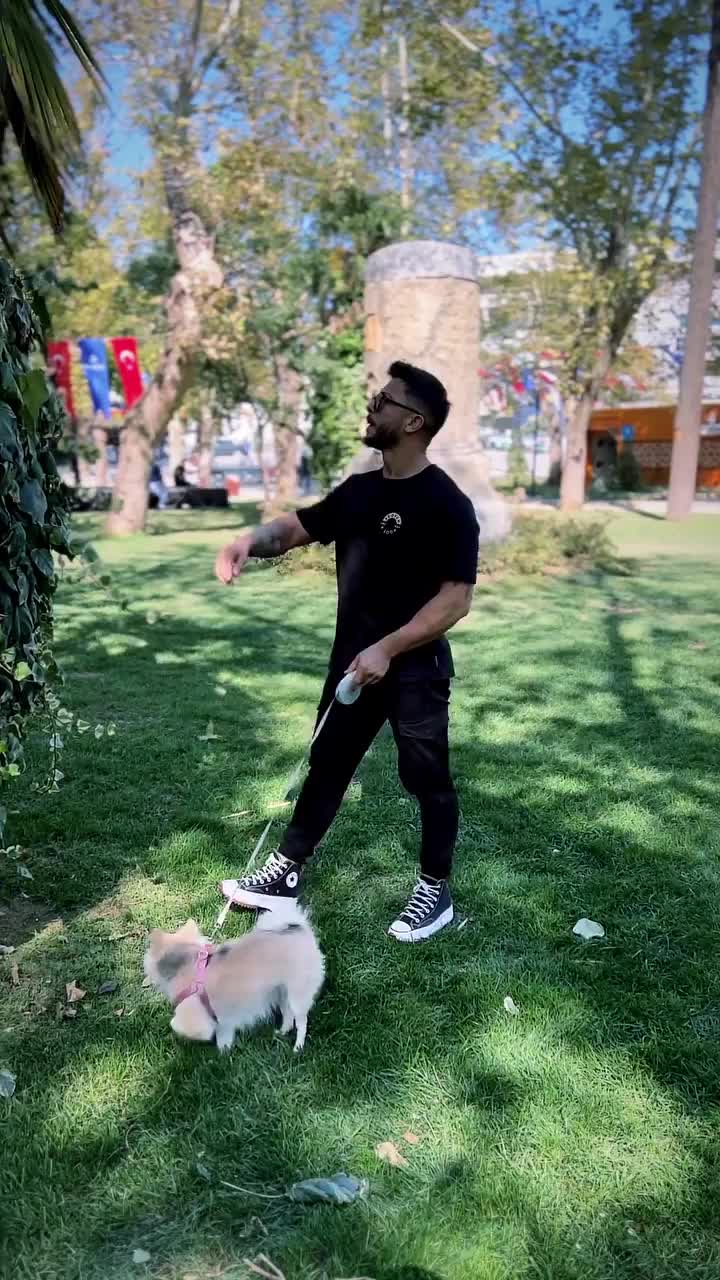 Video post from mehmetenliogluofficial.