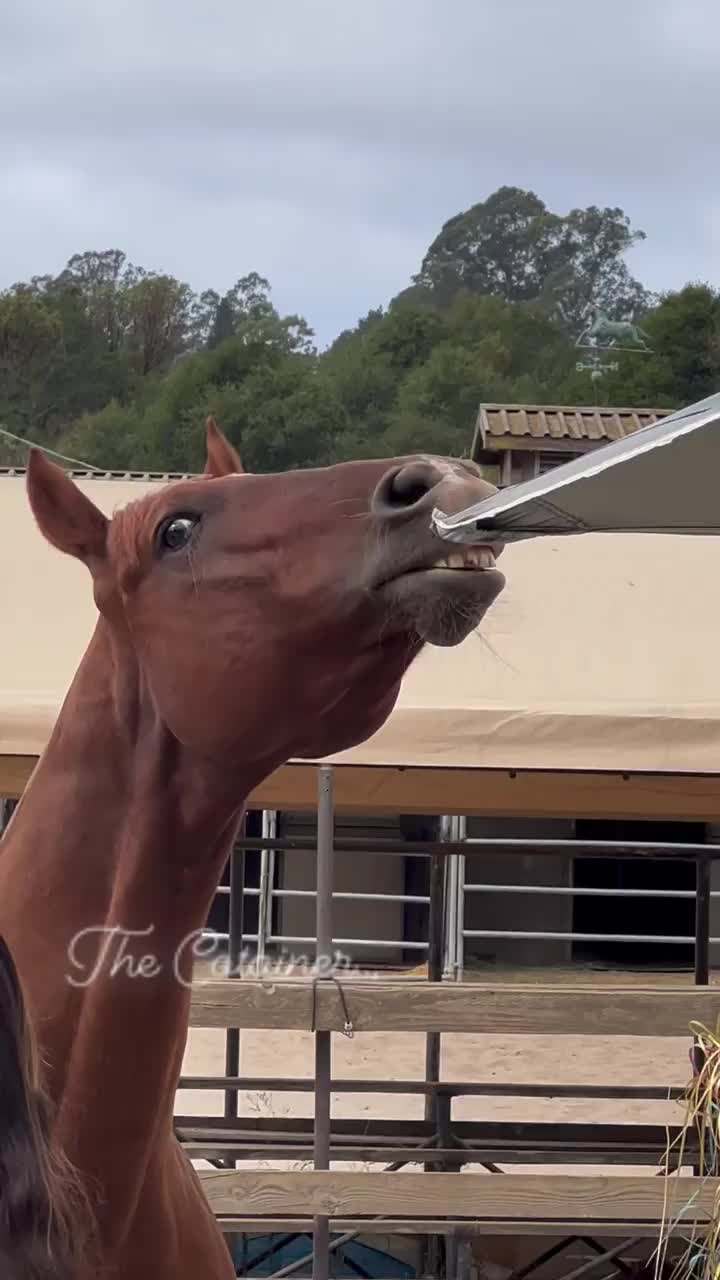 Video post from __amber_lydic__.