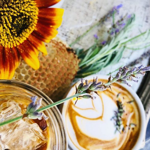 Photo post from equianocoffee.