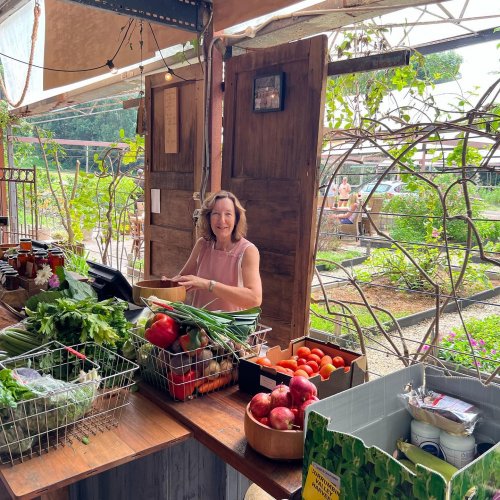 Photo post from currumbinvalleyharvest.