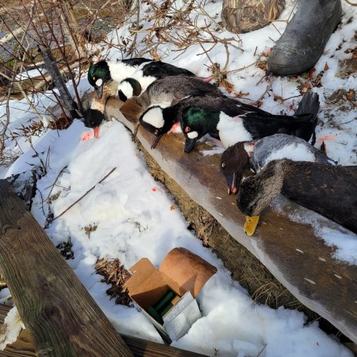 Carousel post from reddogguideservice.