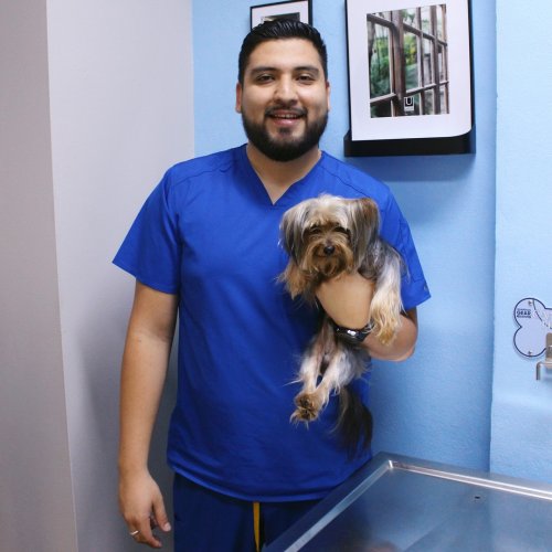 Photo post from medicalpettj.